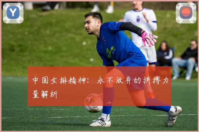 中国女排精神:永不放弃的拼搏力量解析