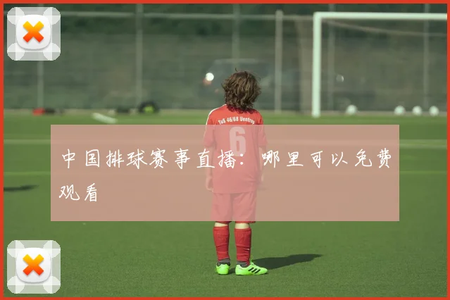 中国排球赛事直播：哪里可以免费观看