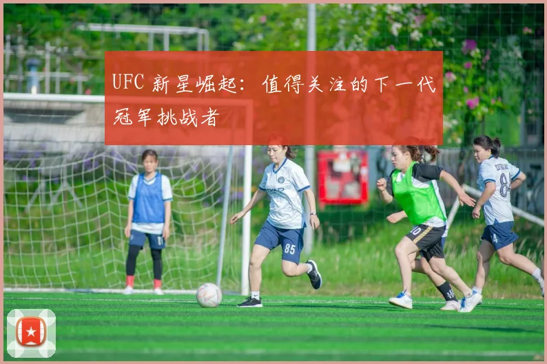 UFC 新星崛起：值得关注的下一代冠军挑战者