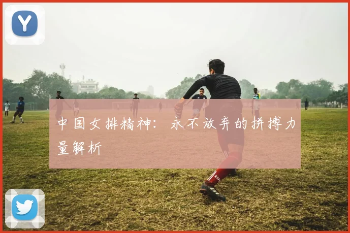 中国女排精神:永不放弃的拼搏力量解析